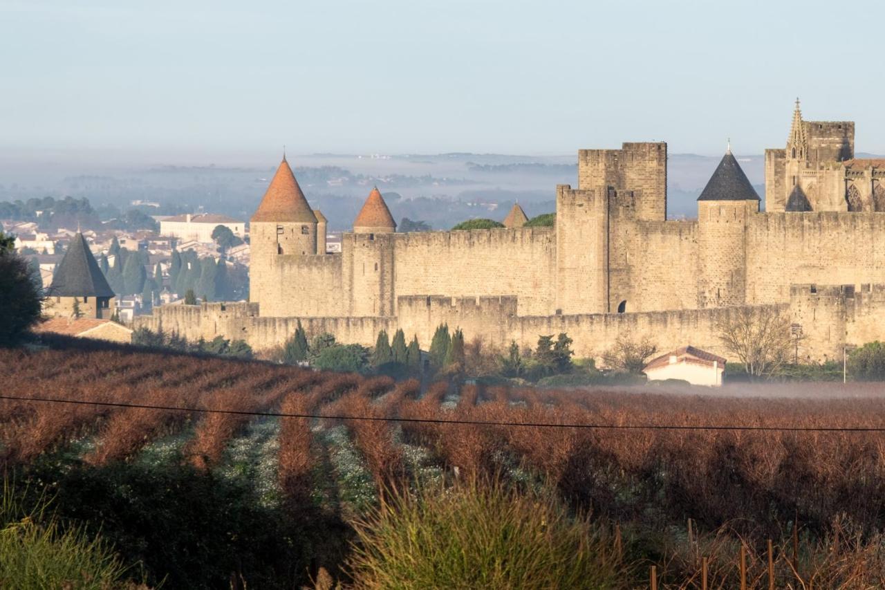 Villa Des Cathares Carcassonne Eksteriør billede
